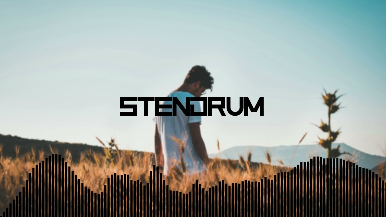Edward Maya & Vika Jigulina - Stereo Love (stendrum bootleg)