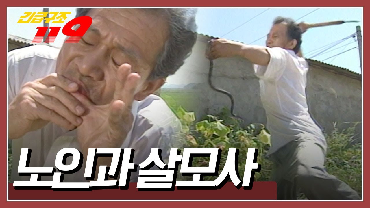 잡초제거 중 살모사에 물린 노인! 그런데 노인이 살고 있는 섬에는 119 구급대가 없다! [긴급구조 119] KBS 961001 방송