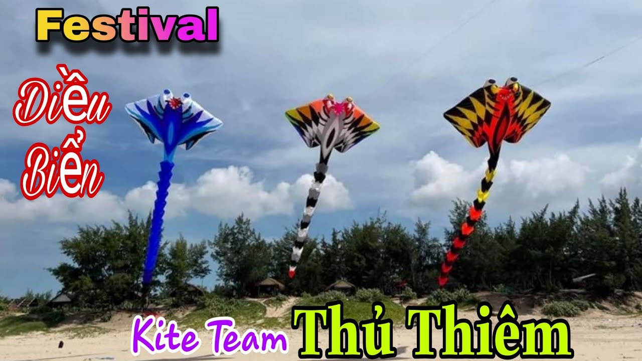 BiBo TV| #Tập 1_ Festival Diều Vũng Tàu Cùng Kite Team Thủ Thiêm_ Kite Festival