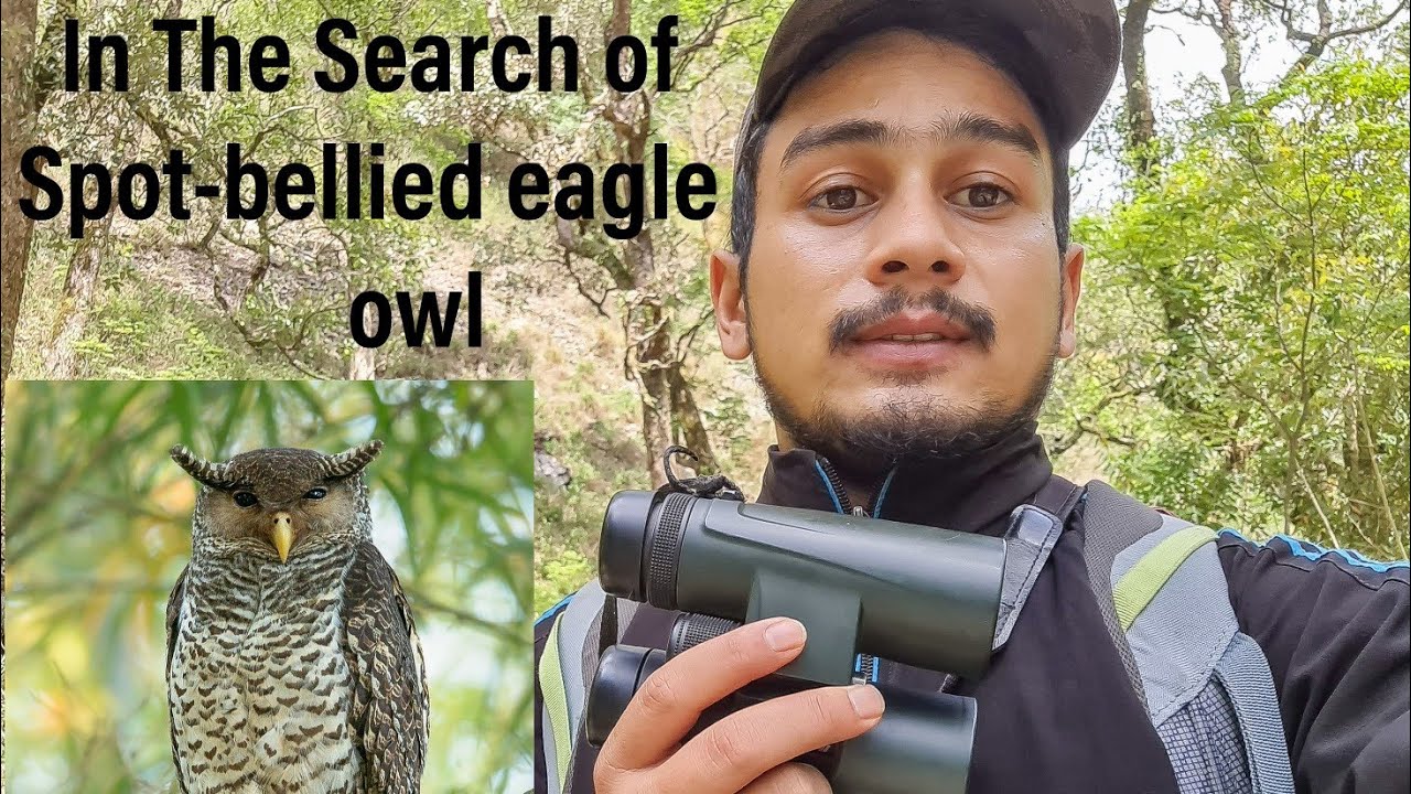 In The Search of Spot-bellied eagle owl/ Saattal / Uttarakhand ❤🦉