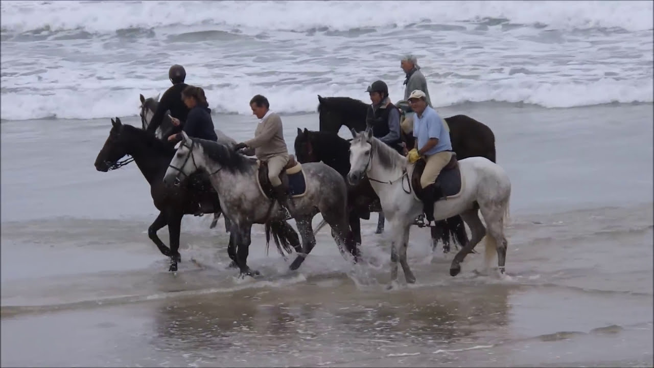 Camino de Santiago a caballo