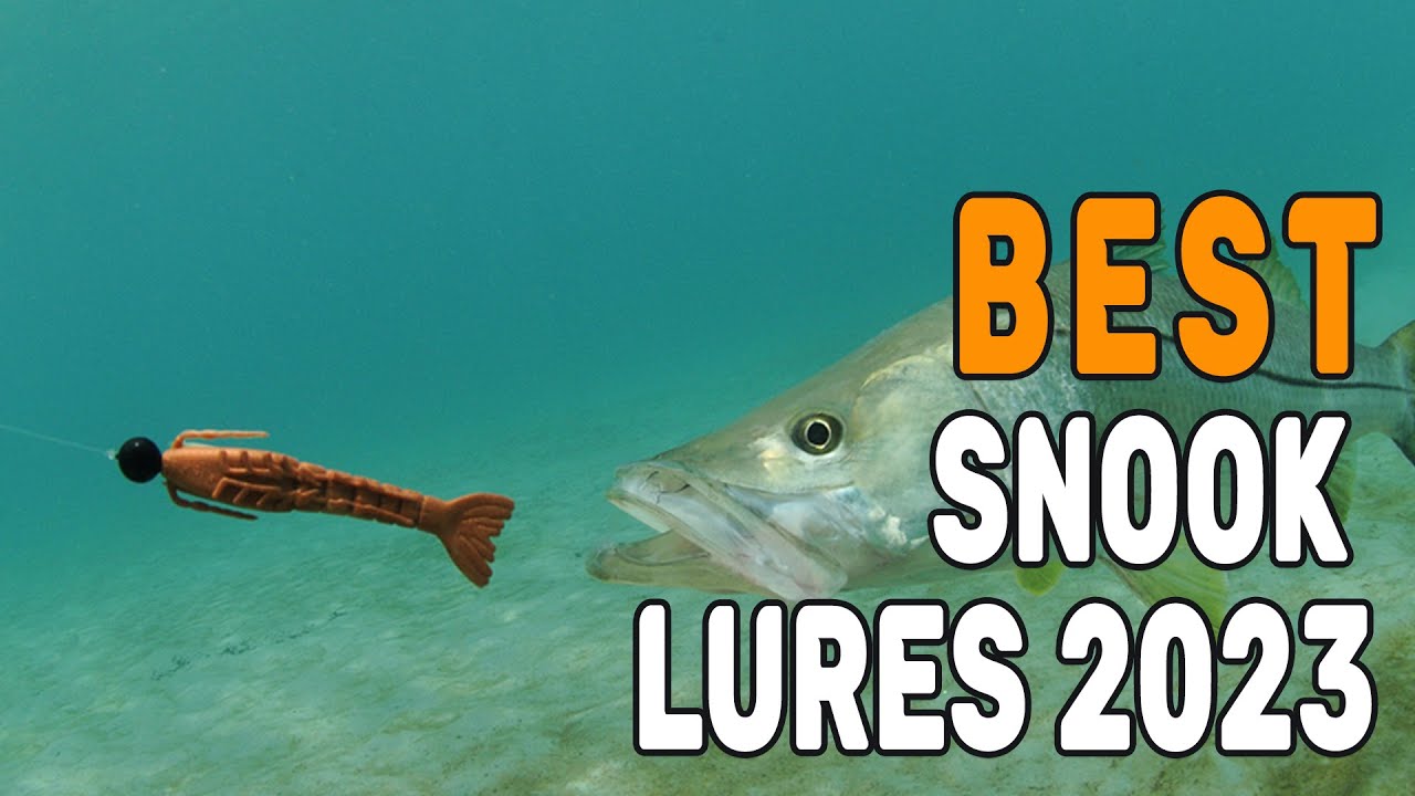 The 5 Best Snook Lures Review in 2023 - Top Quality Lures!