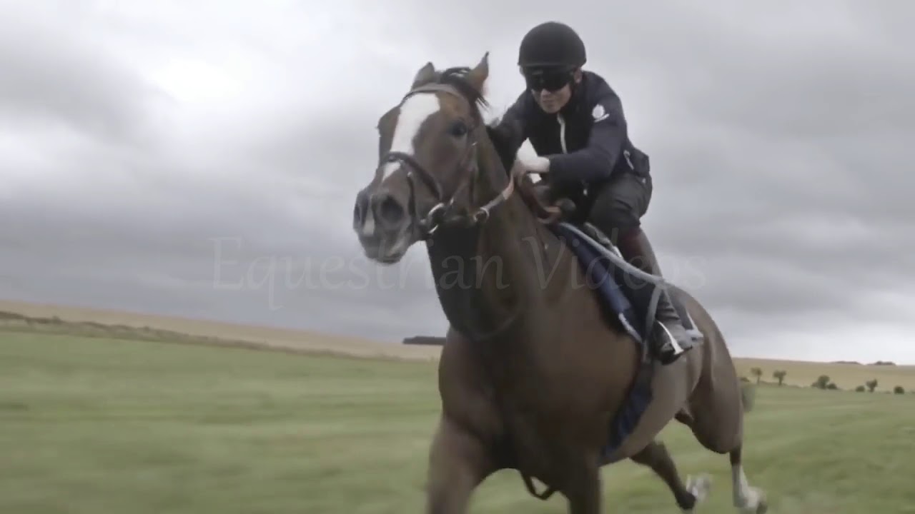 ☆Ignite☆ ll Equestrian Music Video