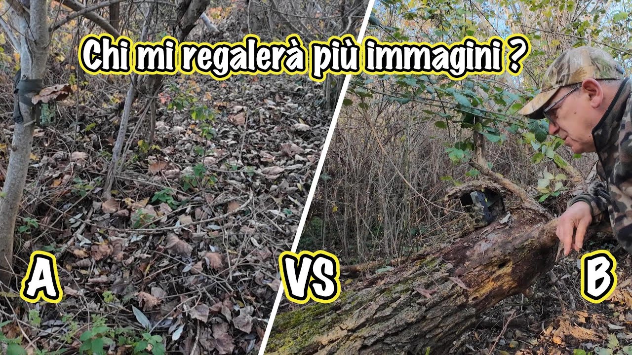 Fototrappola: 2 Posizionamenti a confronto. Chi vince?
