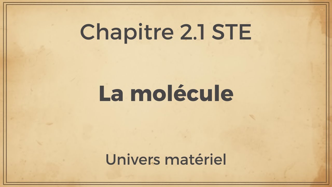Chapitre 2.1 : La molécule STE