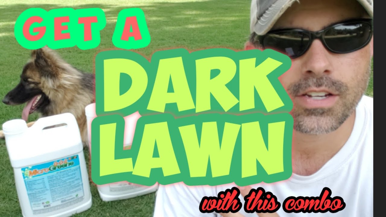 How to get a dark green lawn