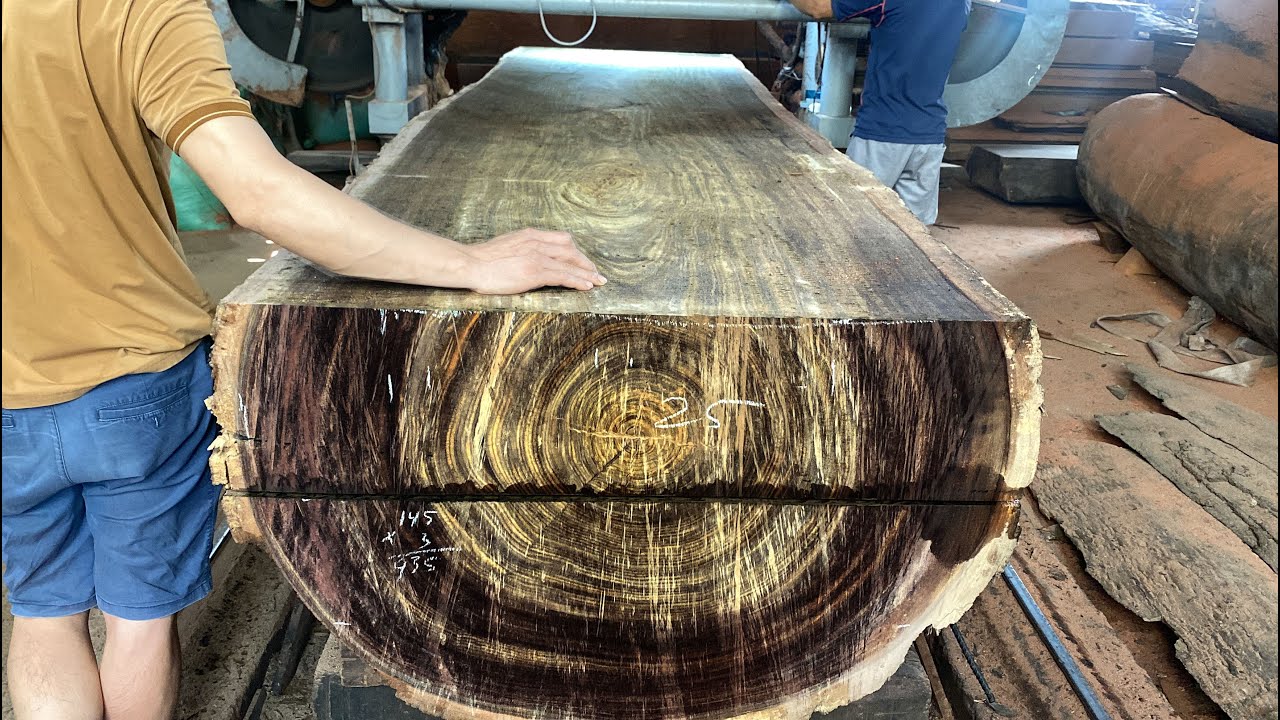 1000 Year Old Rare Wood//This Is the Most Sought After Type of Wood in the World