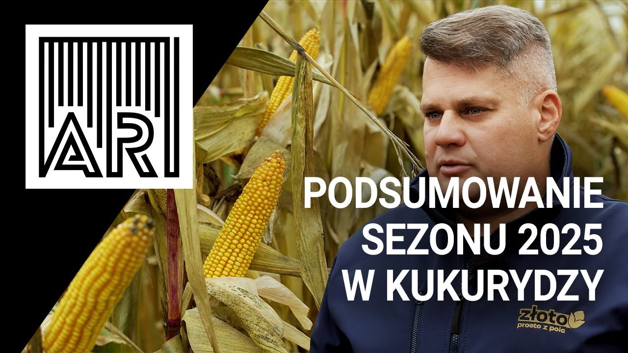 Uprawa i dobór odmian kukurydzy – podsumowanie sezonu 2025 || AR #248