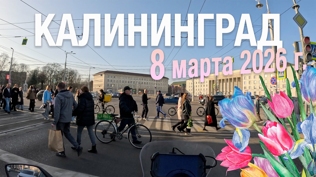 Проехал через весь Калининград 8 марта. Что творится в городе это надо видеть