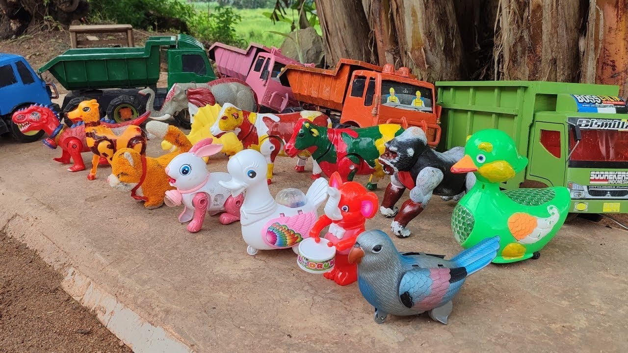 🔴 Widih..! Truk oleng angkut sapi warna warni ayam gajah gorila kelinci latolato buaya rusa joget