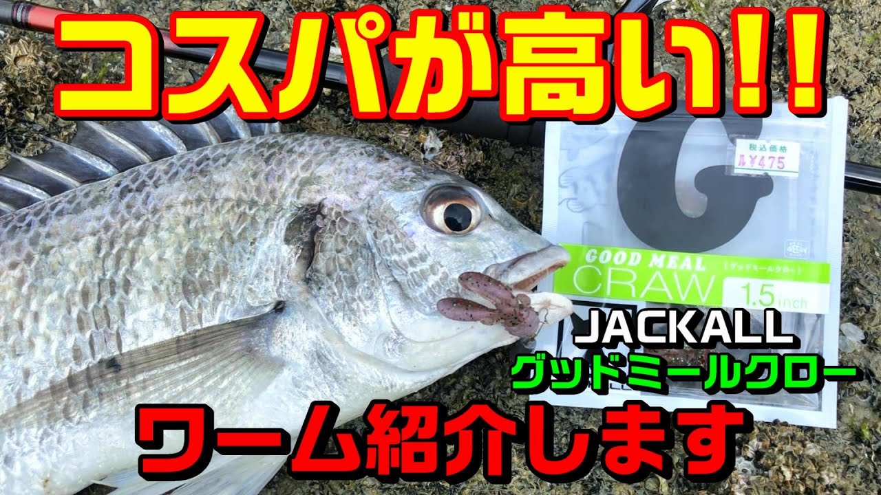 【チニング】グッドミールクロー(ワーム)でチヌを狙ったら…