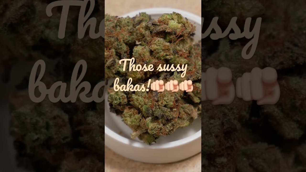 Strain: GMO from Goldleaf🧄garlic mushroom🍄onion 🧅 fire strain 🔥 sussy bakas only #stoner #shorts