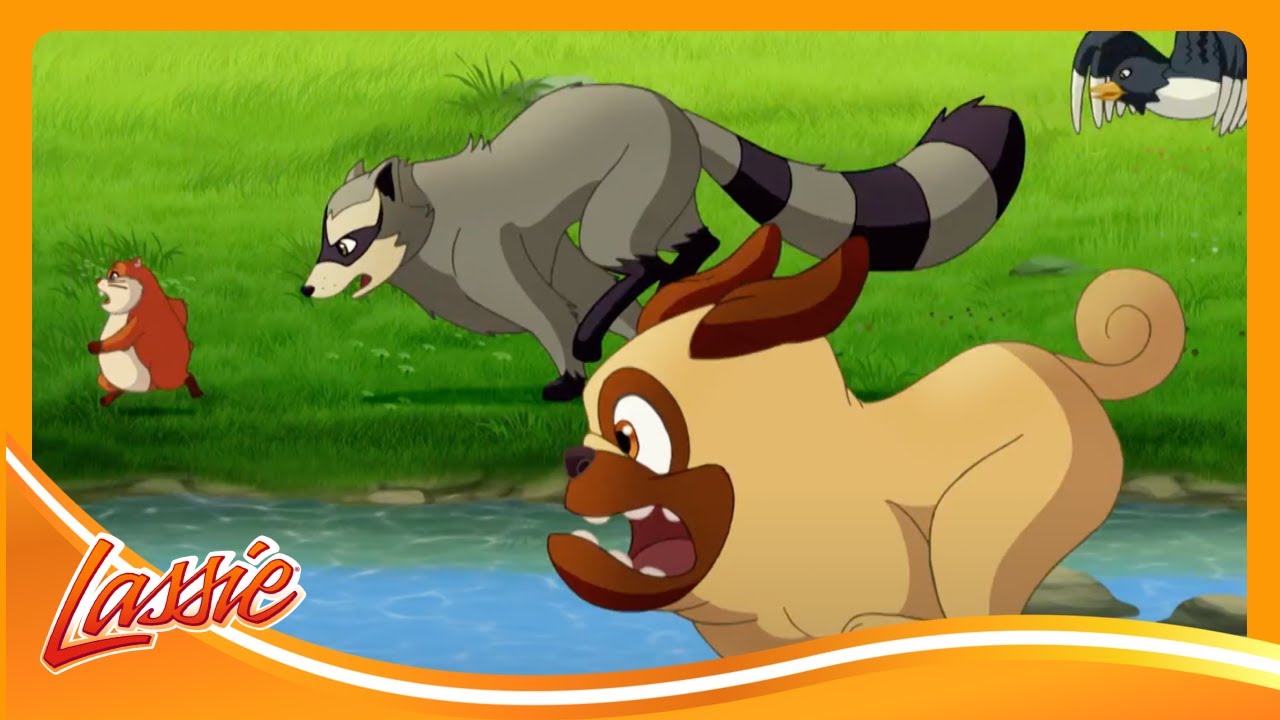 Lassie Saves a Baby Bird🦅 | The New Adventures of Lassie | Cartoons For Kids