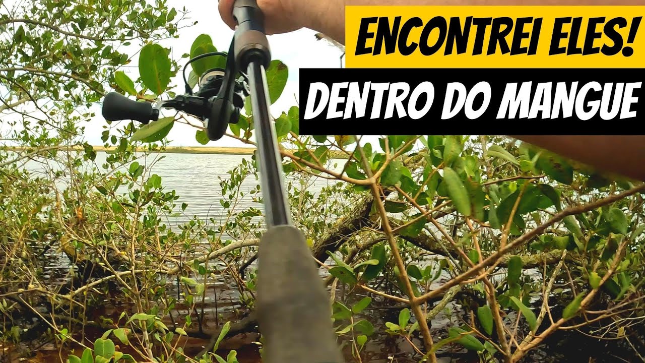 TIVE que ENTRAR no MANGUE para CHEGAR NESSE PONTO de PESCA - Pesca de Ultra Light