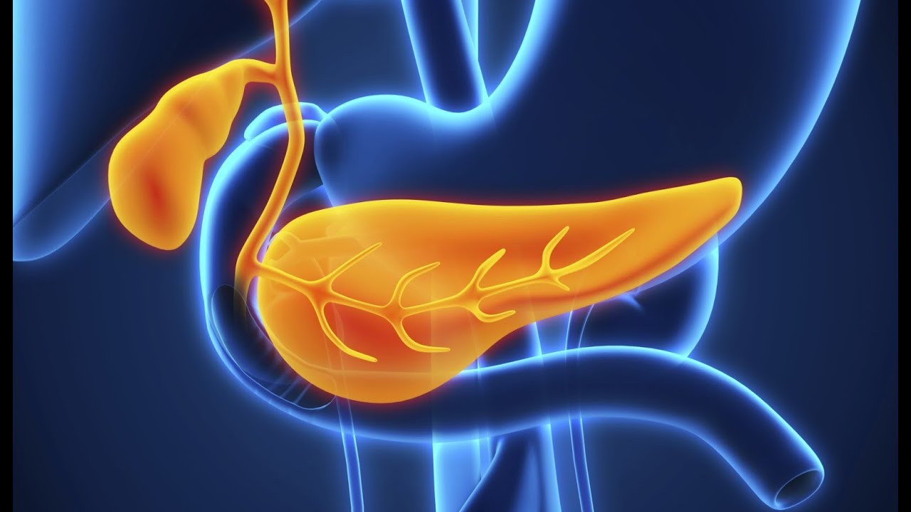 KAKO ELIMINISATI OTROVE IZ GU&Scaron;TERAČE - PRIRODNO ČI&Scaron;ĆENJE! Prof. dr Mihajlović