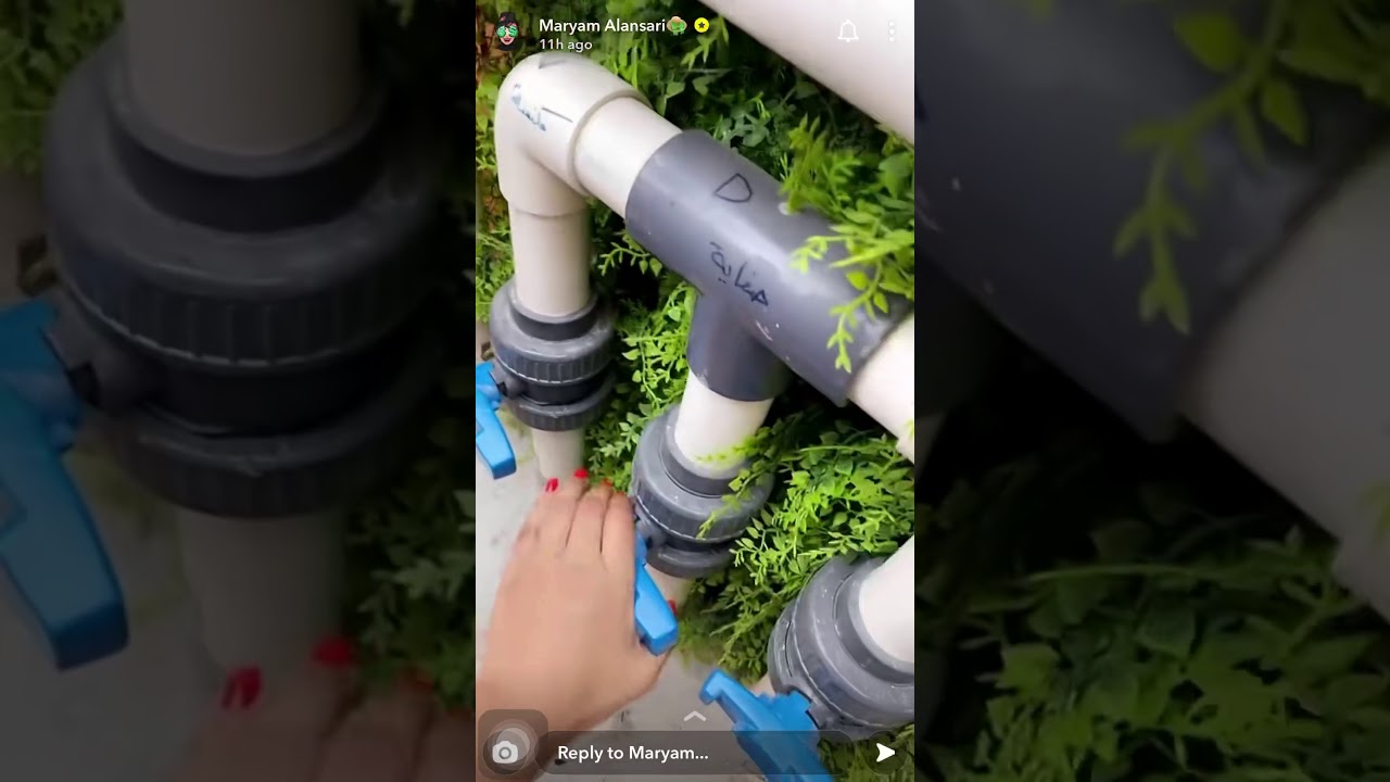 خطوات تنظيف المسبح .. سنابات مريم الأنصاري