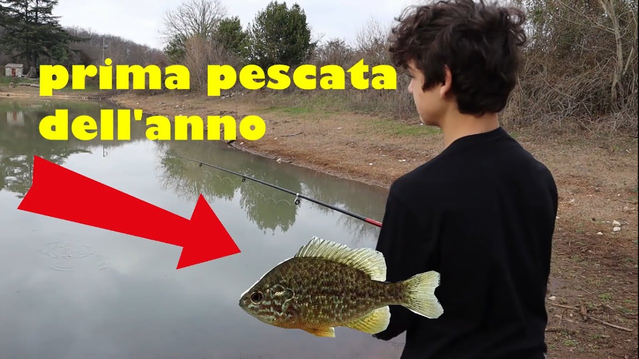 Volevo prendere dei girini ma.....