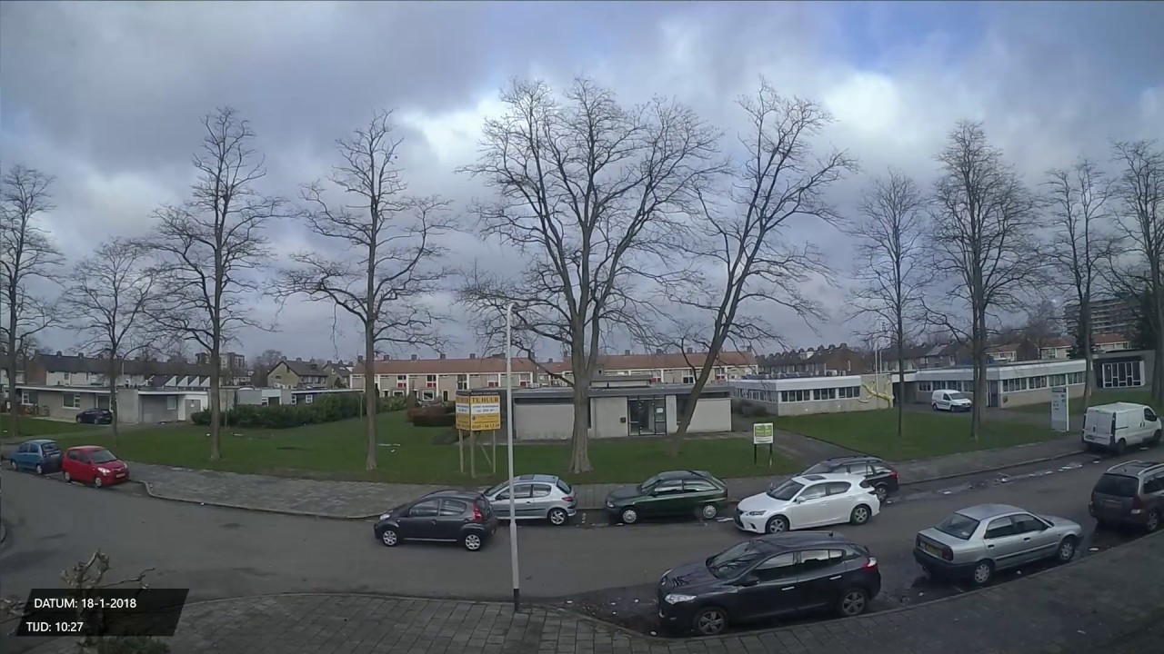 Boom waait om tijdens storm, Roosendaal