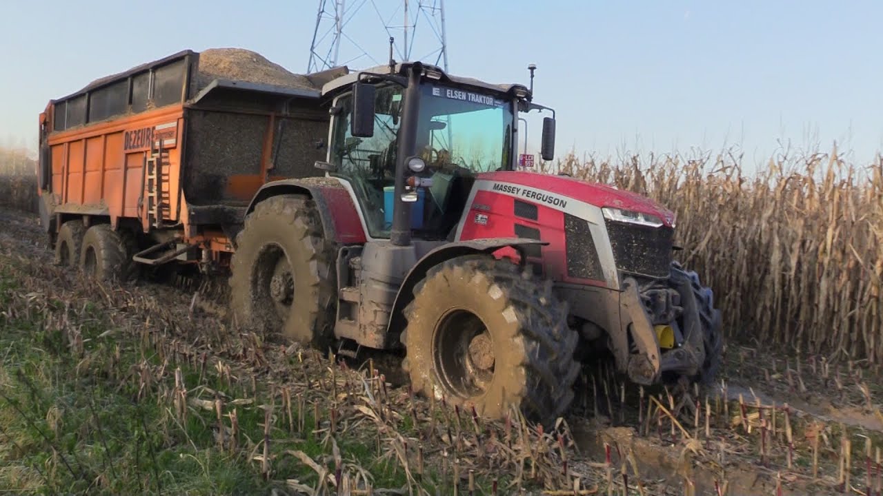 Maïs 2023 | Claas Jaguar 960 TT | Massey Ferguson tractoren | Dezeure silagewagens | Verreth | Mud