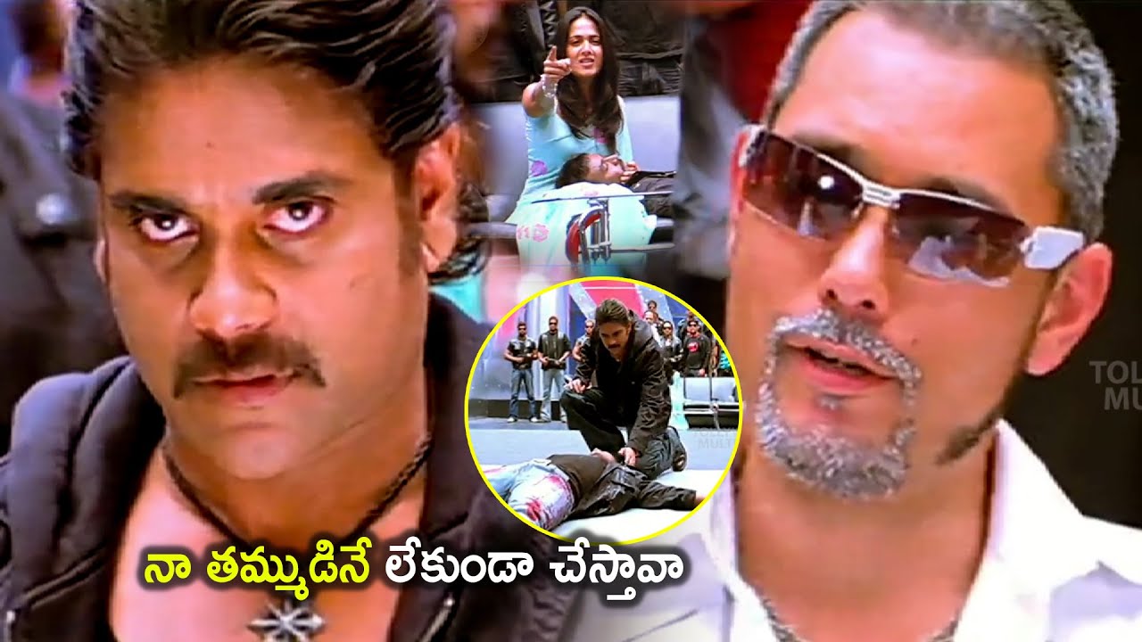 Akkineni Nagarjuna & Kelly Dorji Telugu Action Movie Climax Scene | Tollywood Multiplex