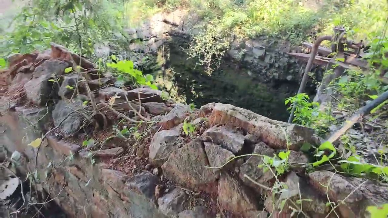 மாடுகளுக்கும் பயிருக்கும் உயிர் – நம்ம பண்ணை கிணறு 🐄💧