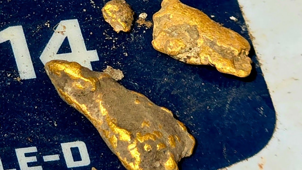 GPX6000 finding Gippsland gold nuggets.