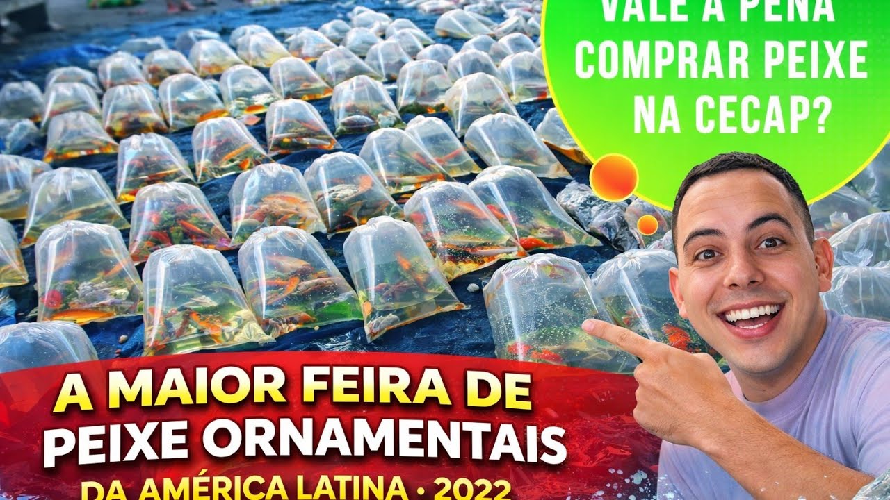MAIOR FEIRA DE PEIXES ORNAMENTAIS DA AMERICA LATINA - ATUALIZAÇÃO CECAP GUARULHOS 2022