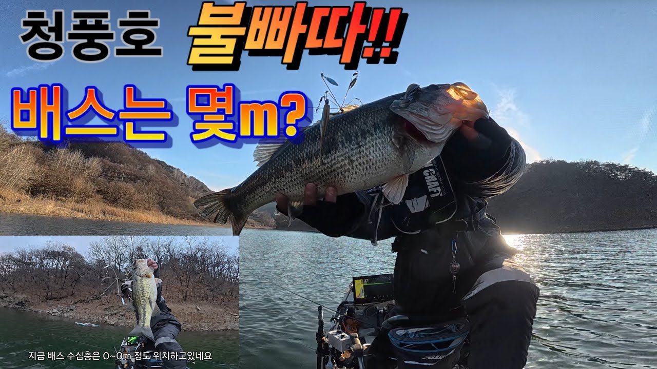 청풍호 스쿨링 시작 #fishing #fish #bass #낚시 
