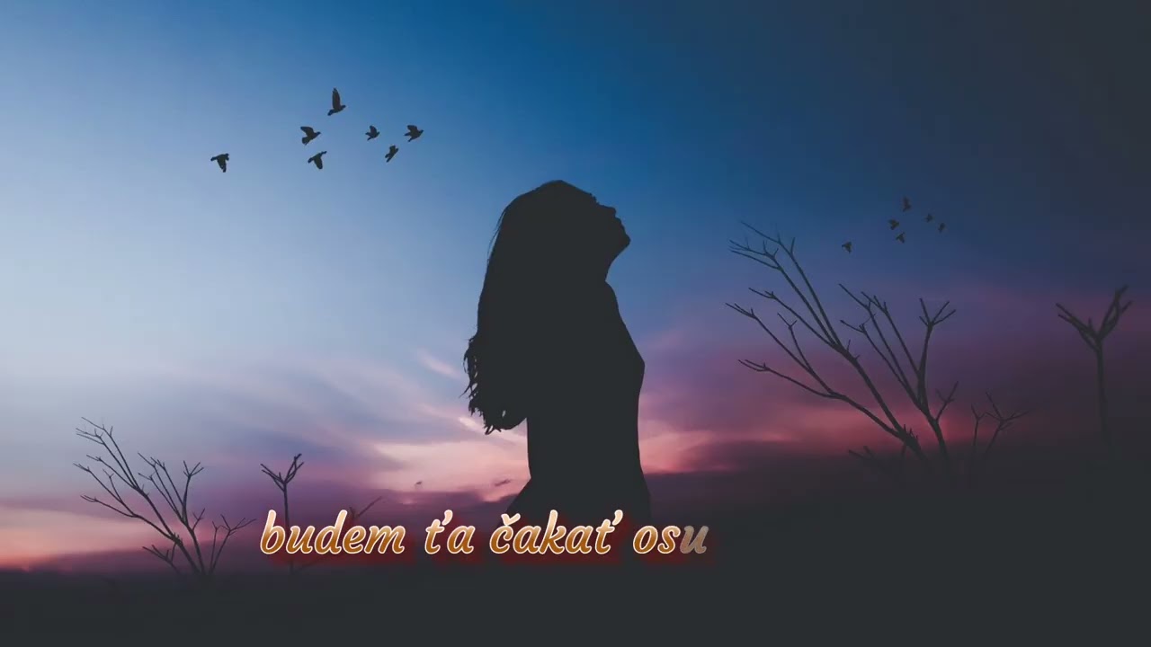 Ladislav Ševčík - Balada o dvoch