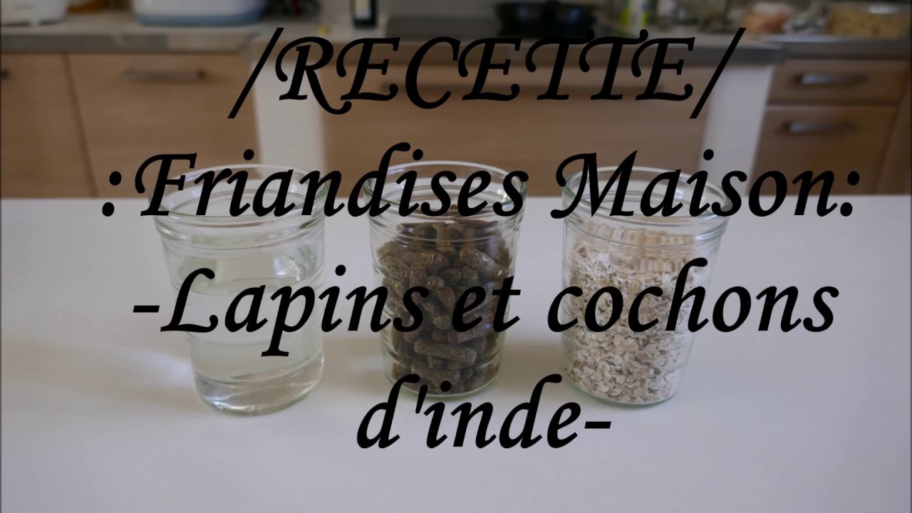 /Recette/ Friandises cochon d'inde et lapin ~❤