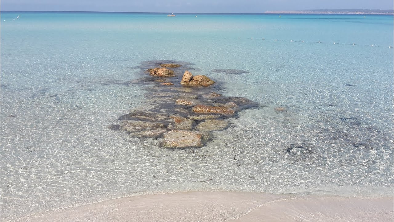 Formentera Blue Notes