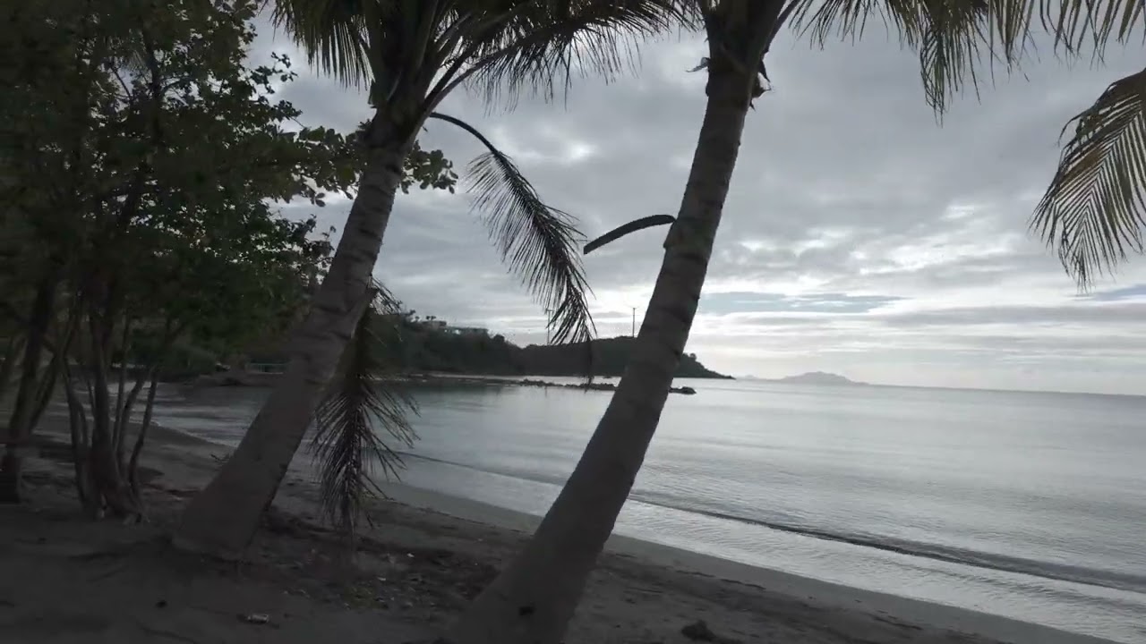 Ambient Walk in Naguabo, Puerto Rico. Coastal Island Sounds & Peaceful Streets (No Talking) Part 3