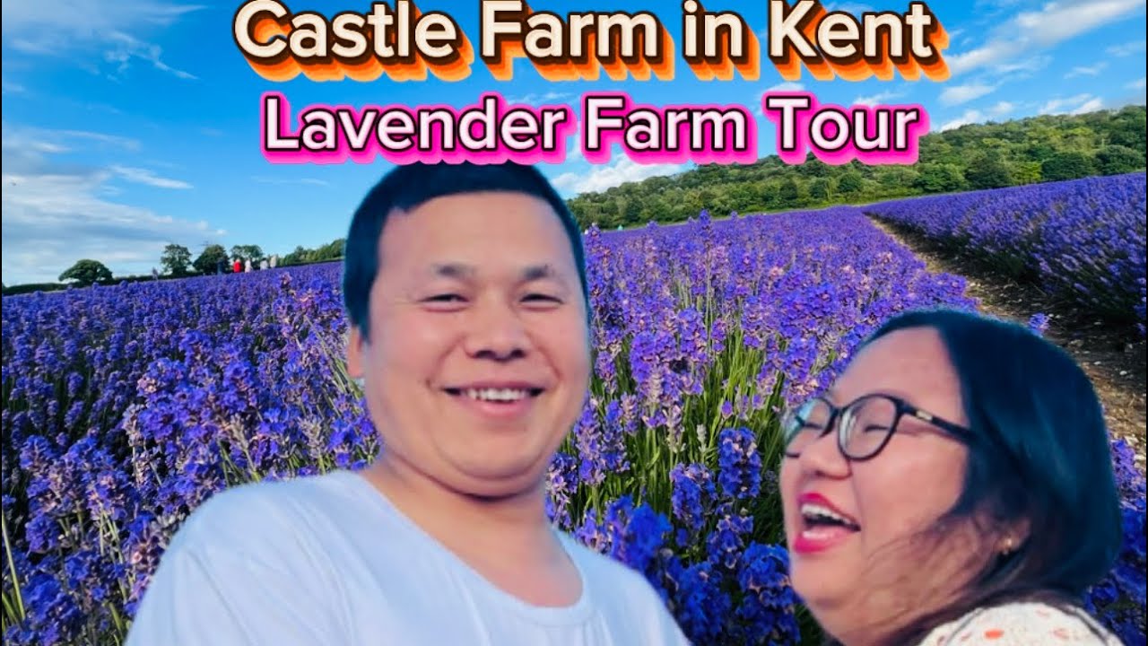 Castle Farm in Kent Uk 🇬🇧 🤪🇳🇵| Walking Through Lavender Heaven Farm Tour Experience @Deuman-vlog