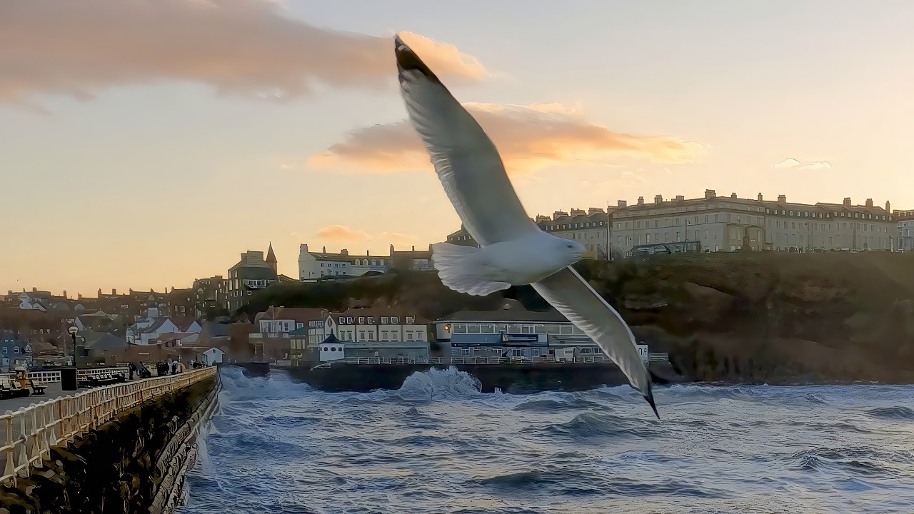 Whitby Winter Waves
