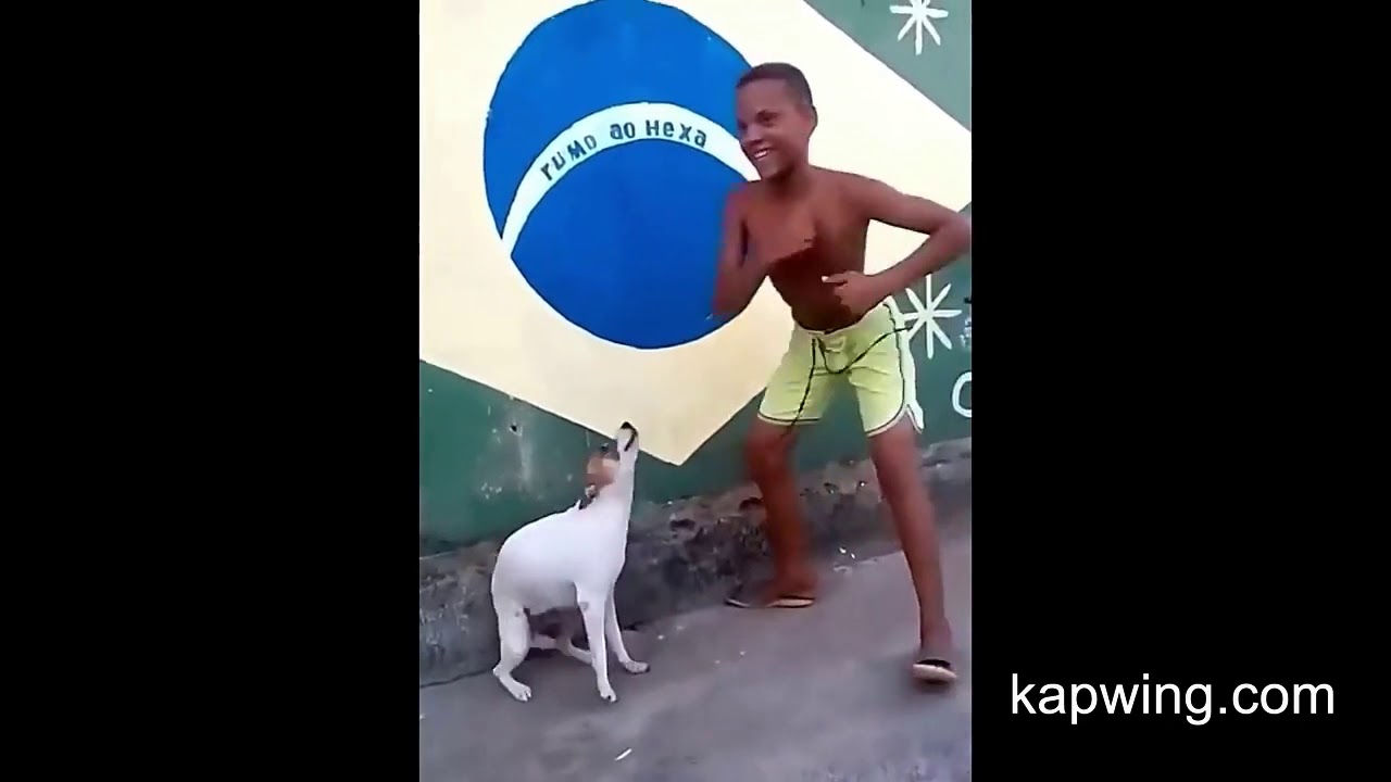Dog dancing and singing