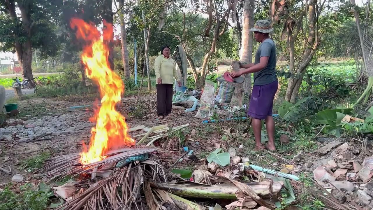 A rice barn is being built near the house to store the rice that is about to be harvested