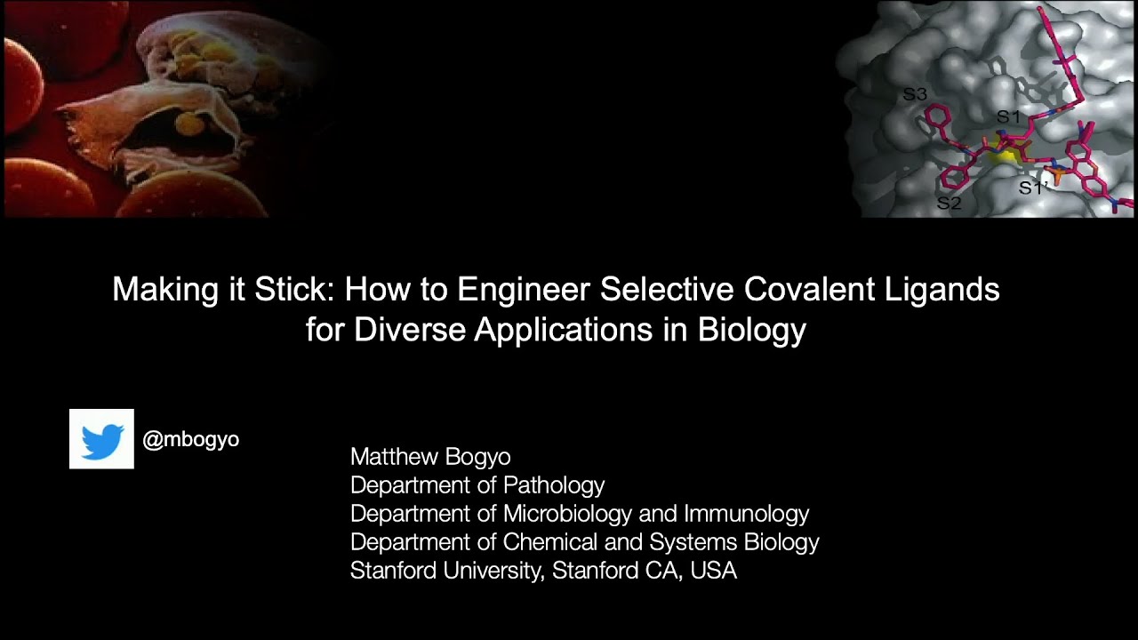 Broad-MIT Seminars in Chemical Biology: Matt Bogyo