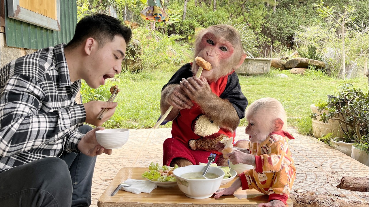 Oh delicious!🍌Max family's nutritious meal 🔸🍌🔸