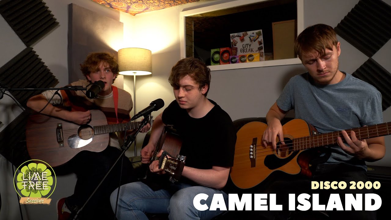 Pulp - Disco 2000 (Cover by Camel Island) | Lime Tree Sessions