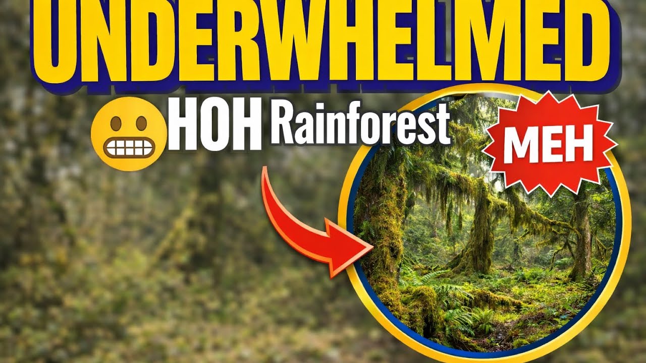 Why the HOH Rainforest in Olympic National Forest Didn't Wow Us.😬