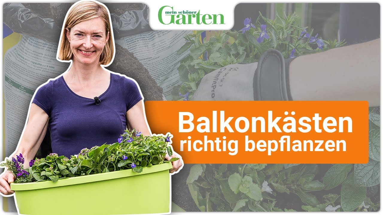 Balkonk&auml;sten bepflanzen: Anleitung, Tipps & Tricks