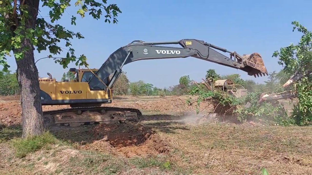 ล้มต้นไม้ VOLVO EC290BLC จัดว่าใหญ่ 30 ตัน ขึ้นถนน ชมไป บ่นไป excavator EP.9190