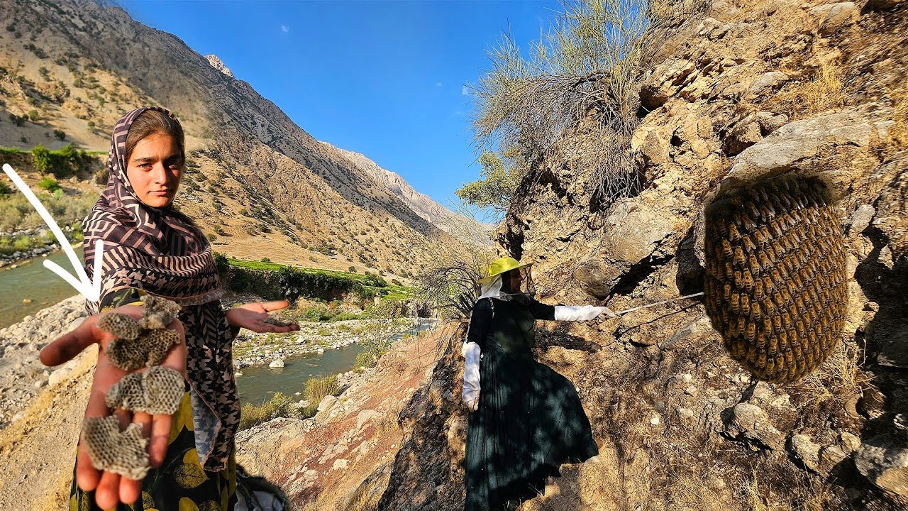 🍯🔍Searching for the World's Rarest Honey: A Nomadic Family's Dangerous Quest🌍🐝
