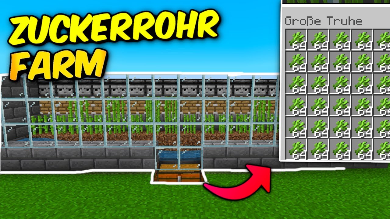 Neu! Diese Automatische Zuckerohr Farm muss die du Sofort Nachbauen! Minecraft bedrock