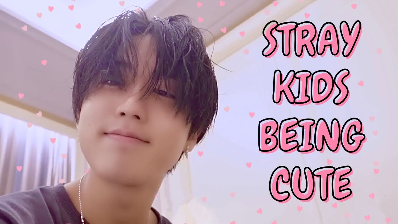 Stray Kids being Cute Kids pt. 39