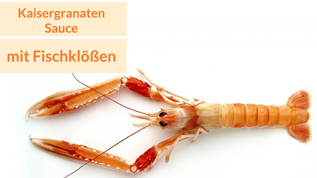 Fischkl&ouml;&szlig;e und KAISERGRANATEN Sauce