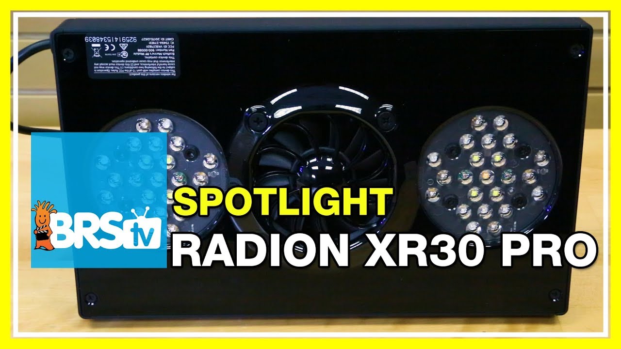 Spotlight on the Radion XR30 PRO LED | BRStv
