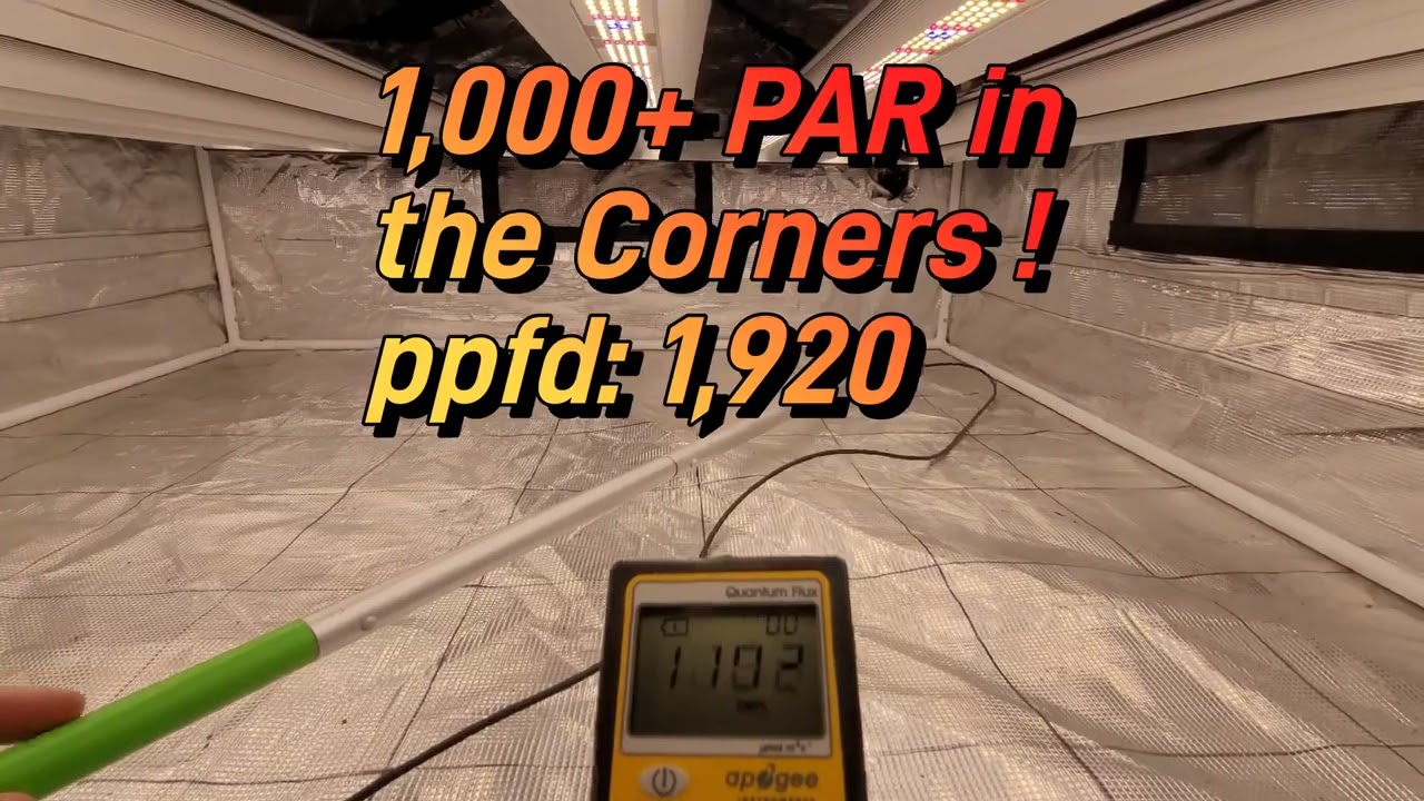 Over 1,000 PAR in the Corners - Slim Killa Watt 1000 Bloom - 4400+ LEDs