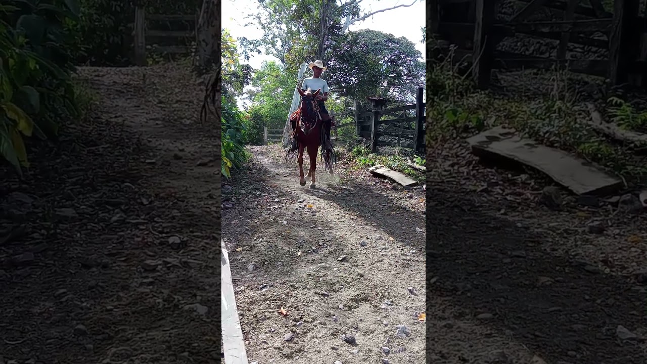 opalee caballito 🤩🐎🫀🤠🇳🇮🍀 