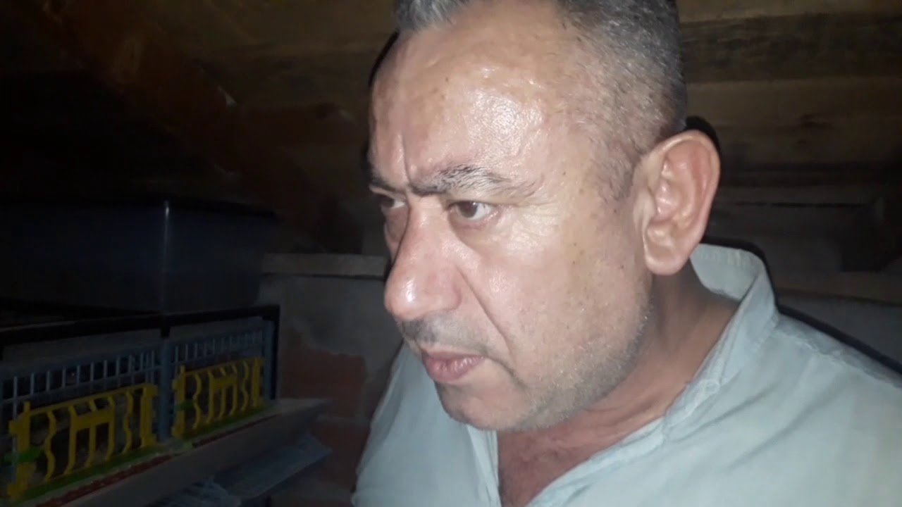 Bıldırcın Bakımı Detaylı Anlatım
